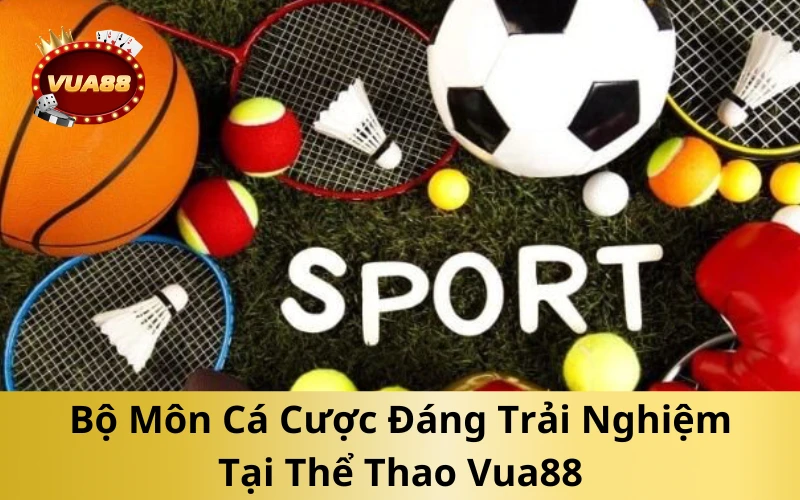 Bộ Môn Cá Cược Đáng Trải Nghiệm Tại Thể Thao Vua88