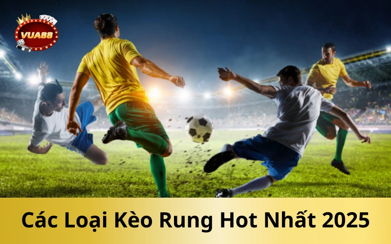 Các Loại Kèo Rung Hot Nhất 2025