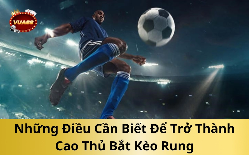 Những Điều Cần Biết Để Trở Thành Cao Thủ Bắt Kèo Rung