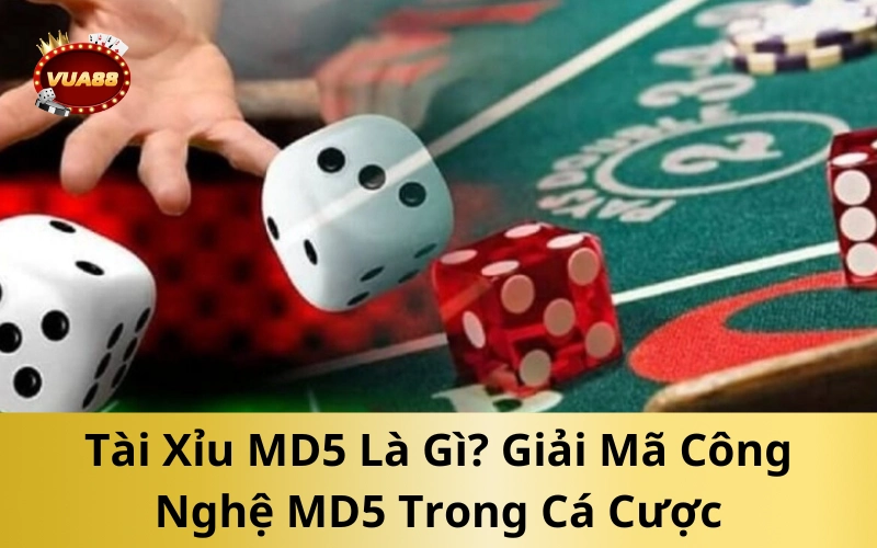 Tài Xỉu MD5 Là Gì? Giải Mã Công Nghệ MD5 Trong Cá Cược